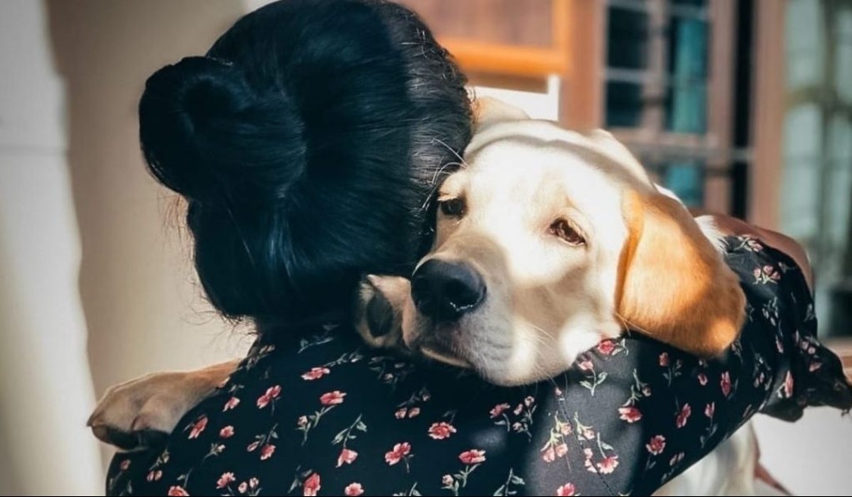 40 Essential Tips for Pet Parents on Understanding Dog Communication